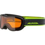 Schwarze Alpina Challenge 2.0 Allroundbrillen 