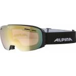 Alpina Granby QV - Unisex Skibrille - Gr. M black 