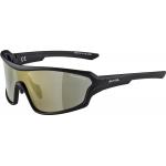 Schwarze Alpina Sportbrillen & Sport-Sonnenbrillen für Herren 