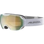 Alpina Pheos S HM Ski-/Snowboardbrille Unisex