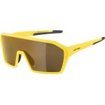 Goldene Alpina Outdoor Sonnenbrillen aus Kunststoff 