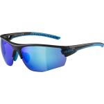 Cyanblaue Alpina Tri Scray Outdoor Sonnenbrillen aus Kunststoff 