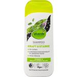 Mikroplastikfreie Alverde Naturkosmetik Bio Shampoos 200 ml mit Koffein gegen Haarausfall für Herren 