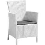 Weiße Moderne Ambia Polyrattan Gartenstühle aus Polyrattan gepolstert Breite 50-100cm, Höhe 50-100cm, Tiefe 50-100cm 