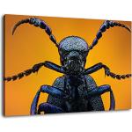 Stil.Zeit XXL Leinwandbilder mit Insekten-Motiv aus Holz 40x60 