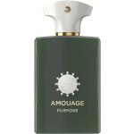 Amouage ODYSSEY COLLECTION Purpose Eau de Parfum Nat. Spray 100 ml
