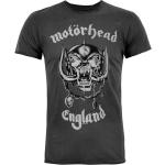 AMPLIFIED Motörhead T-Shirts für Herren 