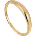 ANIA HAIE Damen Ring, 585er Gelbgold, gold, 57