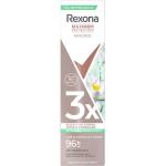 Rexona Maximum Protection Antitranspirante mit Limette 