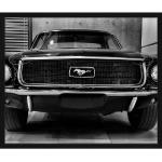 Schwarze Ford Mustang Kunstdrucke aus Buche 