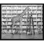 Schwarze Digitaldrucke mit Tiermotiv aus Buche mit Rahmen 