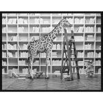 Schwarze Digitaldrucke mit Tiermotiv aus Buche mit Rahmen 