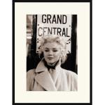 Fanartikel Marilyn kaufen Monroe online
