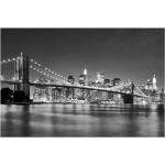 Bilder-Welten New York-Fototapeten mit Brückenmotiv 