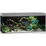 Aquarium JUWEL Rio 450 mit LED-Beleuchtung, Pumpe, Filter, Heizer ohne Unterschrank grau