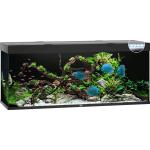 Aquarium JUWEL Rio 450 mit LED-Beleuchtung, Pumpe, Filter, Heizer ohne Unterschrank schwarz