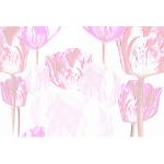 Reduzierte Cremefarbene Blumenmuster Architects Paper Tulpen-Fototapeten mit Tulpenmotiv aus Papier UV-beständig 
