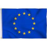 Aricona Europaflagge - Klassische Europaflagge 90 x 150 cm mit Messing-Ösen - Wetterfeste Fahne für Fahnenmast - 100% Polyester