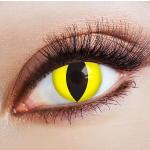 Gelbe aricona Farbige Kontaktlinsen 