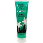 Haargels mit Kaktus 