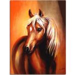 Pferde Bilder mit Tiermotiv Hochformat 60x80 