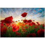 artboxONE Poster 30x20 cm Natur Poppies Sky hochwertiger Design Kunstdruck - Bild Poppies Blumenfeld blumenmeer