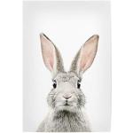 artboxONE Poster 60x40 cm Tiere Baby Bunny hochwertiger Design Kunstdruck - Bild Bunny Rabbit