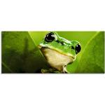 Grüne Artland Acrylglasbilder mit Tiermotiv aus Glas 50x125 