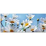 Weiße Artland Blumenglasbilder aus Glas 50x125 