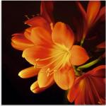 Orange Zeitgenössische Artland Quadratische Blumenglasbilder 30x30 