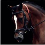 Braune Zeitgenössische Artland Pferde Bilder mit Pferdemotiv 20x20 