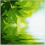 Grüne Artland Glasbilder 30x30 