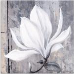 Artland Glasbild »Klassische Magnolie«, Blumen (1 Stück), grau