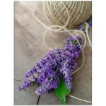 Lavendelfarbene Artland Lavendel Blumenglasbilder mit Lavendel-Motiv aus Glas Hochformat 60x80 