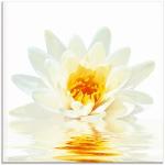 Glas-Bild Wandbilder Druck auf Glas 100x70 Deko Blumen & Pflanzen Lotusblume