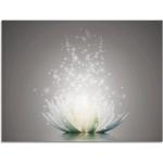 Artland Glasbild »Magie der Lotus-Blume«, Blumen (1 Stück), grau, grau