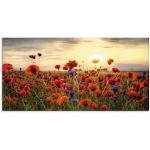 Rote Artland Blumenglasbilder mit Mohnblumen-Motiv aus Glas Querformat 30x60 
