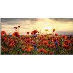 Rote Zeitgenössische Artland Blumenglasbilder 50x100 