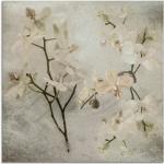 Weiße Zeitgenössische Artland Quadratische Blumenglasbilder 20x20 