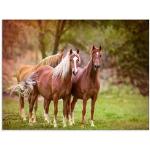 Glasbild ARTLAND "Pferde in den Feldern I" Bilder braun Glasbilder