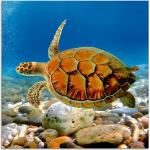 Artland Glasbild »Schildkröte«, Wassertiere (1 Stück), blau