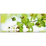 Grüne Artland Blumenglasbilder aus Glas 50x125 