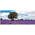 Artland Glasbild »Schönes Lavendelfeld im Sommer«, Felder (1 Stück), lila, 1 St.