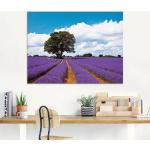 Artland Glasbild »Schönes Lavendelfeld im Sommer«, Felder (1 Stück), lila, 1 St.