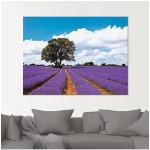 Lila Artland Acrylglasbilder mit Lavendel-Motiv 50x50 