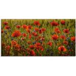 Rote Artland Blumenglasbilder aus Glas Querformat 30x60 