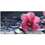 Pinke Artland Blumenglasbilder 50x100 