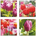 Pinke Artland Quadratische Blumenleinwandbilder 40x40 