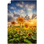 Artland Poster mit Sonnenblumenmotiv aus Papier Hochformat 60x90 
