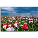 Bunte Zeitgenössische Artland Mohnblumenbilder mit Blumenmotiv Querformat 60x90 